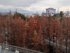 -福道