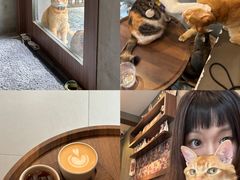 -Again Coffee Roaster(香蜜湖店)