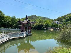 -青龙山国家森林公园