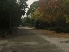 -胜华驾校·小猫学车(银都店)