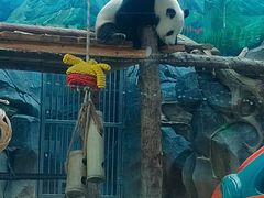 -武汉动物园