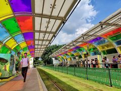 -珠江夜游广州塔·中大码头