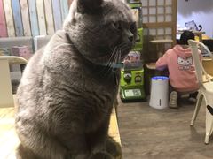 -小时光咖啡馆(开森度假森林店)