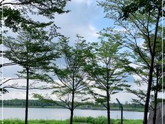 -深圳人才公园