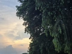 -海珠湖公园