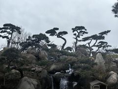 -罗红摄影艺术馆