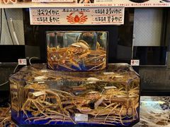 -蟹道乐(道顿堀本店)