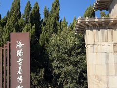 -洛阳古墓博物馆