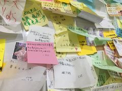 -沉香牛肉面