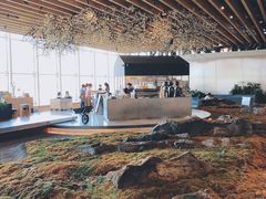 -Seesaw Coffee(朝阳大悦城店)