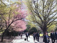 -北海道厅旧本厅舍(旧本庁舎)