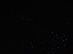 -怀托摩萤火虫洞