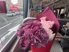 -双季花艺园艺市场(浦东店)