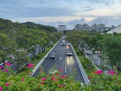 -云溪植物园