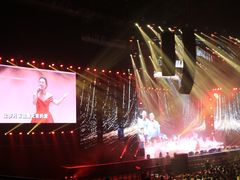 -成都金融城演艺中心