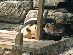 -大青山野生动物园