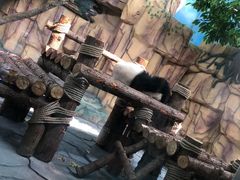 -泉州海丝野生动物世界