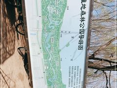 -长白岛森林公园
