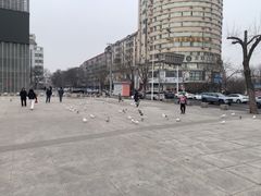 -海河外滩公园