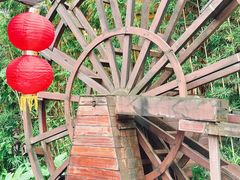 -江门古劳水乡旅游区