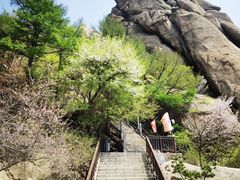-崂山巨峰游览区
