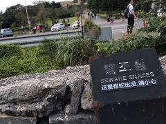 -雪绿茶博物馆