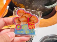 -芸山季·云南山珍菌火锅(人民广场来福士店)