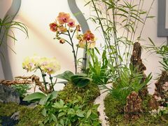-荷兰布尔玛国际花艺学院