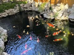 -鲤院·新中式美学·庭院餐厅(夫子庙店)