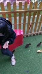 -萌宠亲子动物乐园(槐房万达店)