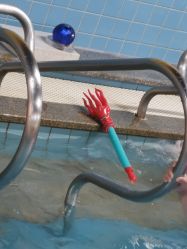 点击看大图 -宝燕乐园(闵行旗舰店)