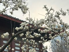 -堤角公园