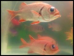 -多彩贵州城极地海洋世界