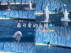 -珠海长隆海洋王国