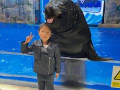 -芜湖新华联大白鲸海洋公园