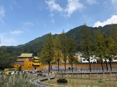 -九华山风景区