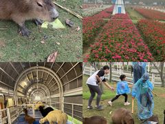 -盈香心动乐园