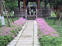 -宝光寺