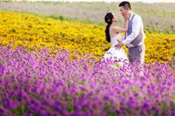 点击看大图 -薇视觉婚纱摄影工作室·婚纱照·结婚照