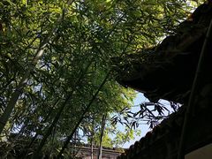 -梅园
