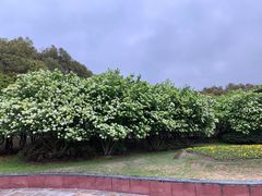 -宜兴龙背山森林公园