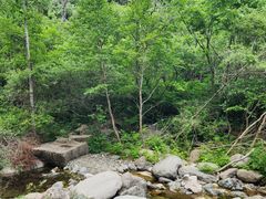 -玉渡山自然风景区