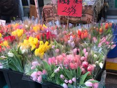 -循礼门鲜花花市(武汉循礼门店)