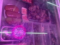 -老字號·桥下猪肚(龙眼南路店)