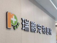 -瑞鹏宠物医院·骨科·猫科·内科(第一中心)