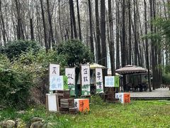-林间山庄