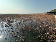 -重元寺香积厨素斋馆