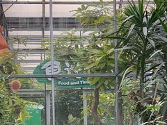 -南宫五洲植物乐园