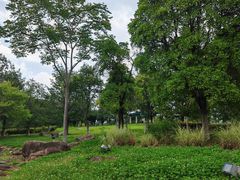 -白塘生态植物园