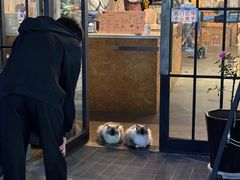 -众品老方子锅贴甜沫(李村店)